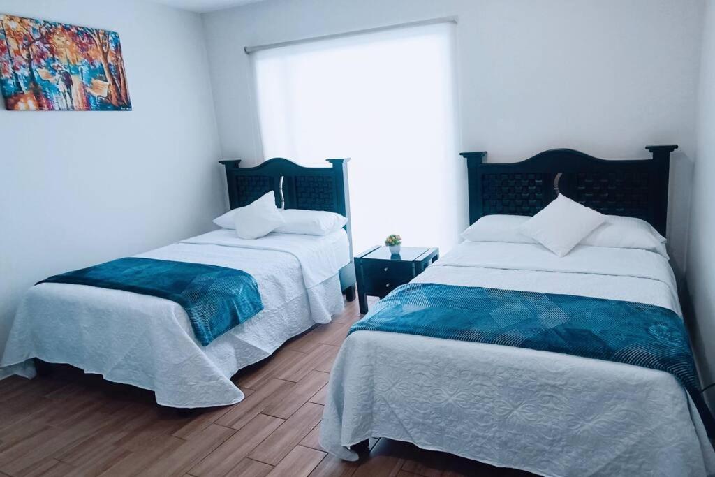 Secure, Central And Quiet Apartment Work Or Travel Μεξικό Εξωτερικό φωτογραφία